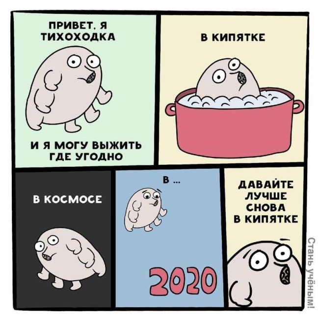 айкын - как дела 2020