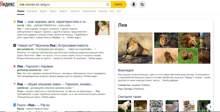 Яндекс Доменные зоны и язык